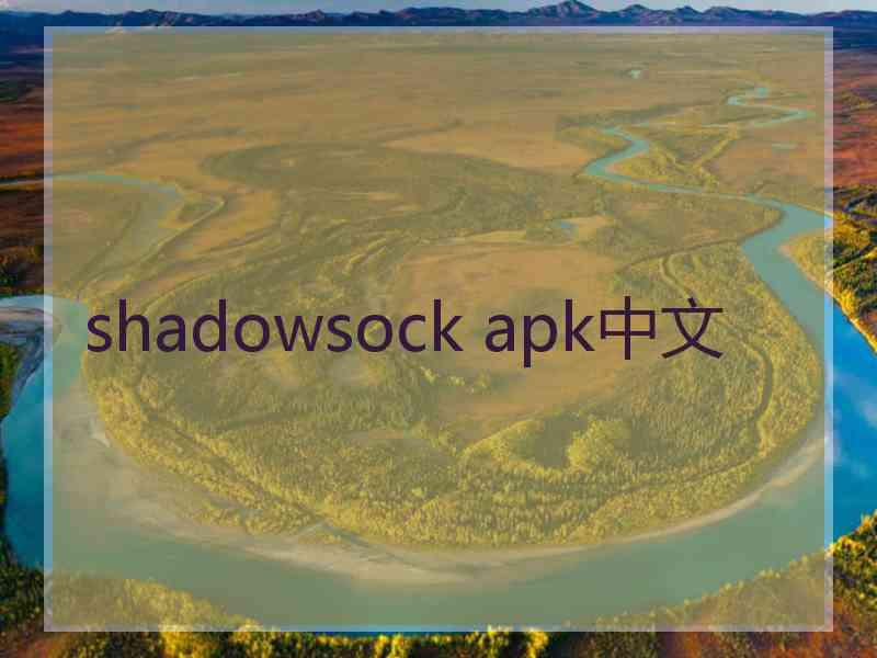 shadowsock apk中文