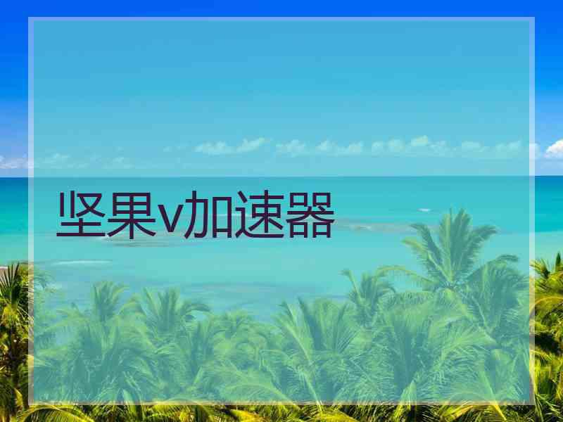 坚果v加速器