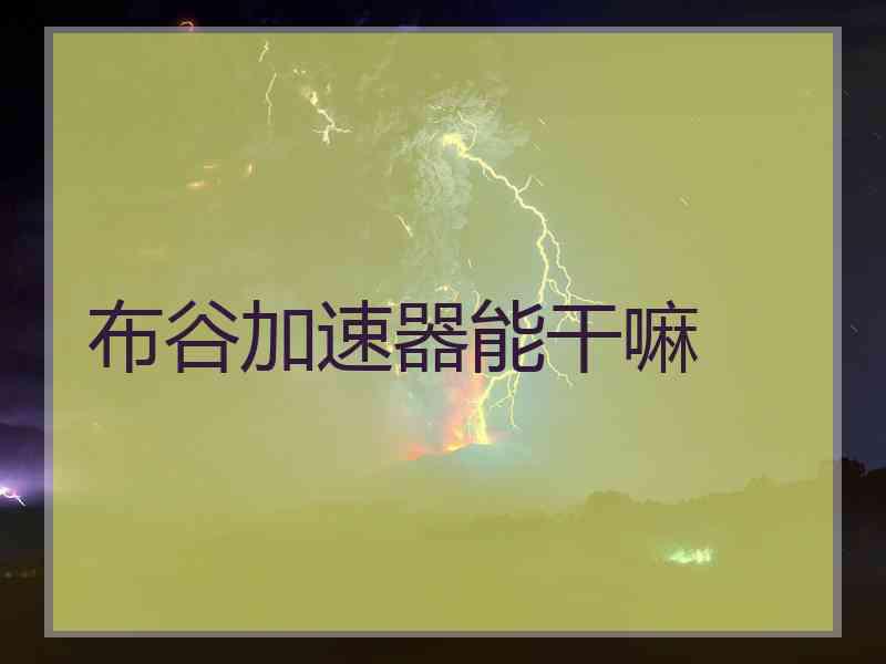布谷加速器能干嘛