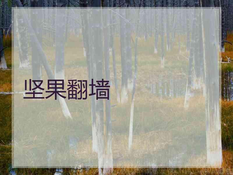 坚果翻墙