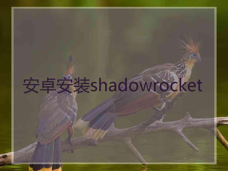 安卓安装shadowrocket
