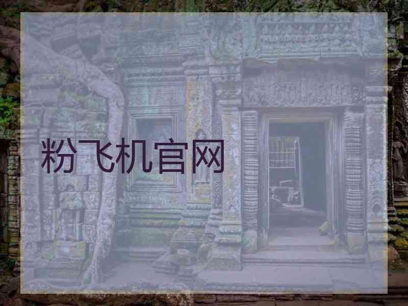 粉飞机官网