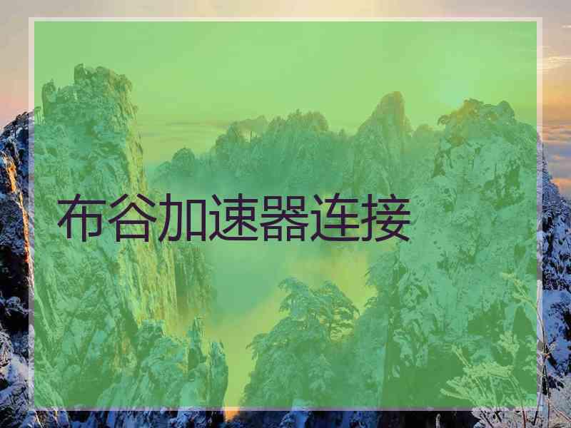 布谷加速器连接