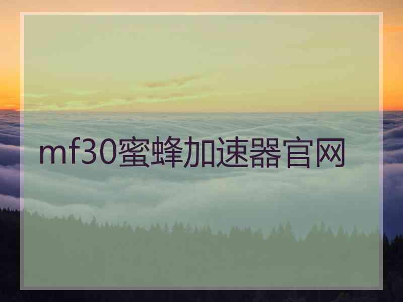 mf30蜜蜂加速器官网