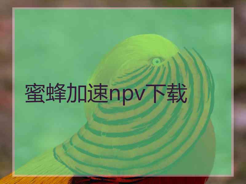 蜜蜂加速npv下载