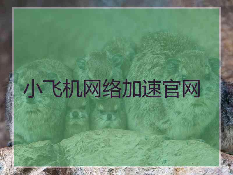 小飞机网络加速官网