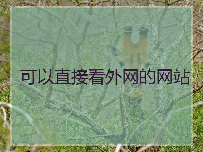 可以直接看外网的网站