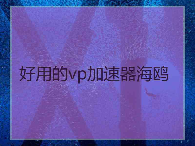 好用的vp加速器海鸥