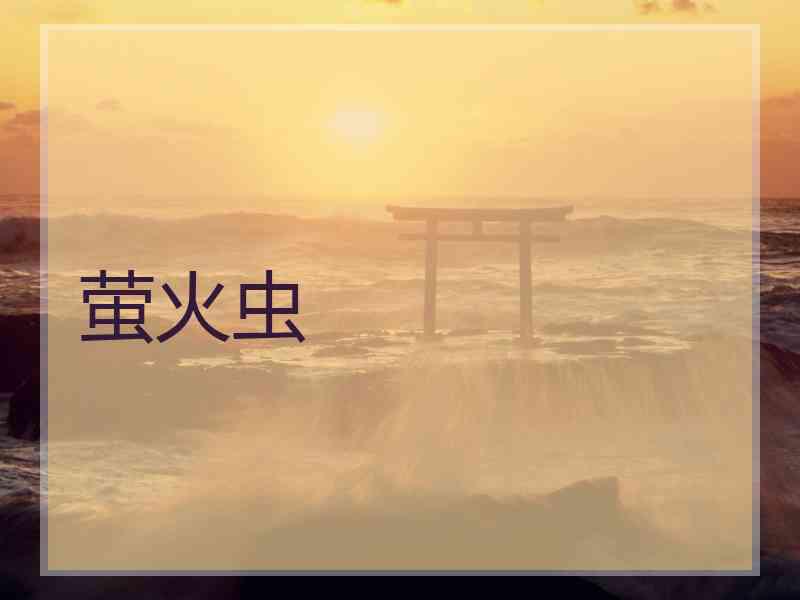 萤火虫