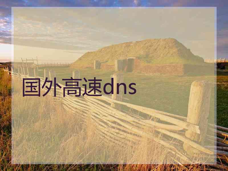 国外高速dns