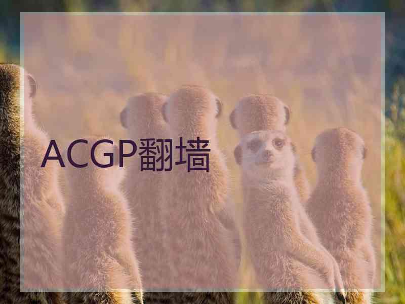 ACGP翻墙