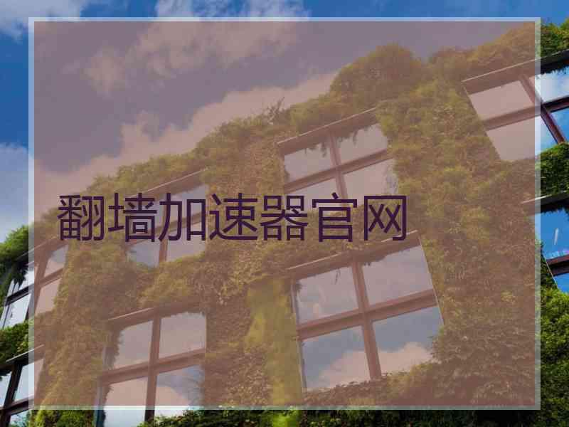 翻墙加速器官网
