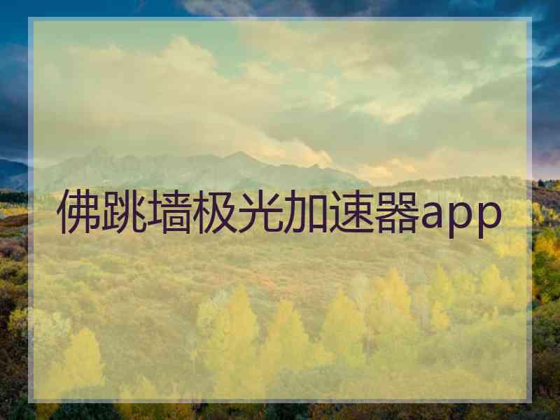 佛跳墙极光加速器app