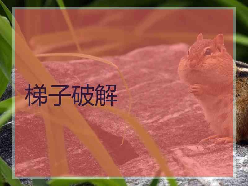 梯子破解