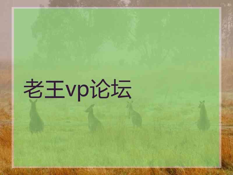 老王vp论坛