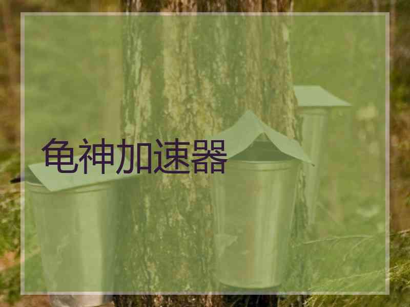龟神加速器