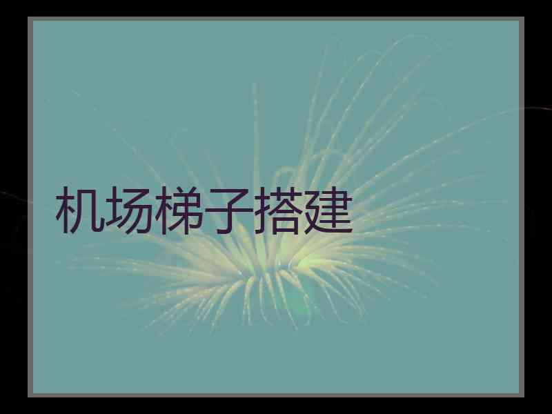 机场梯子搭建