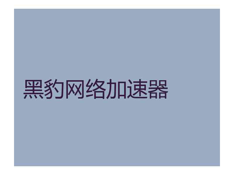 黑豹网络加速器