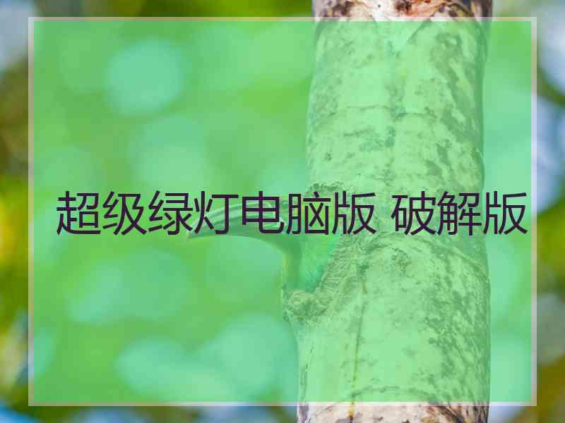超级绿灯电脑版 破解版