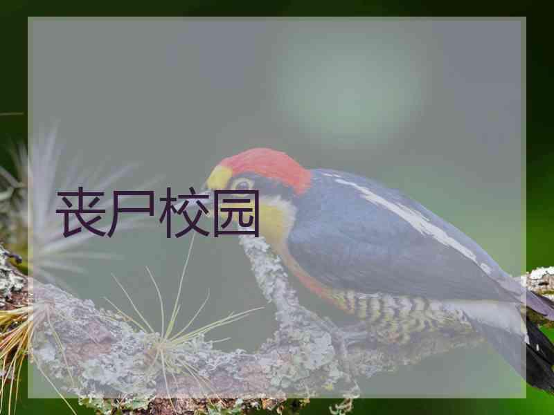 丧尸校园
