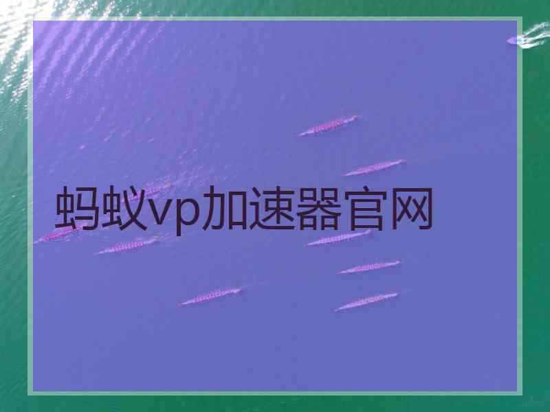 蚂蚁vp加速器官网