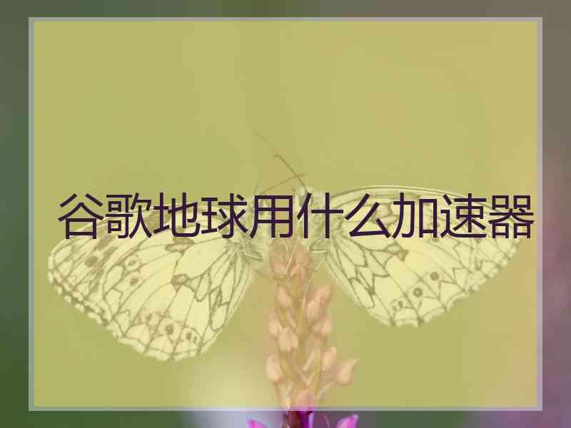 谷歌地球用什么加速器