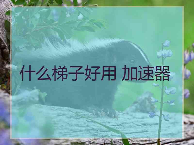 什么梯子好用 加速器