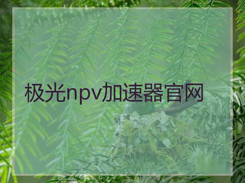 极光npv加速器官网