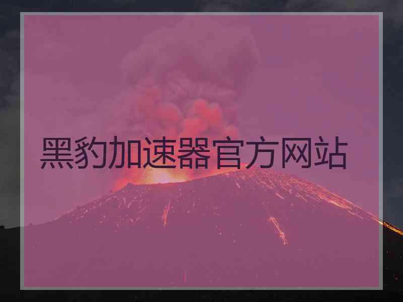 黑豹加速器官方网站