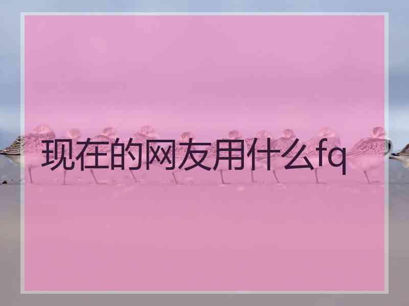 现在的网友用什么fq