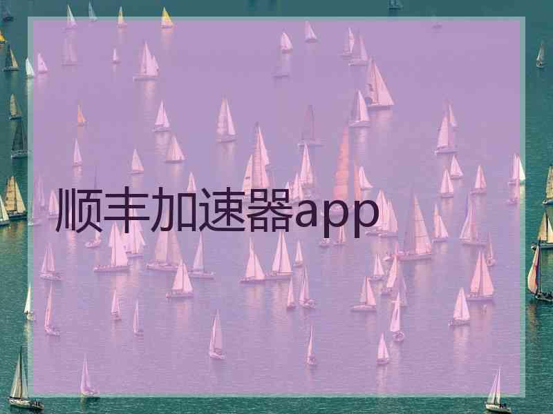 顺丰加速器app