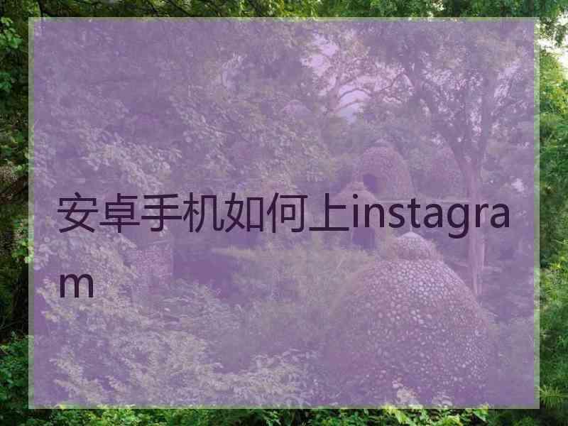 安卓手机如何上instagram