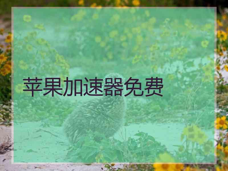 苹果加速器免费