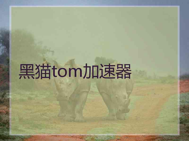 黑猫tom加速器