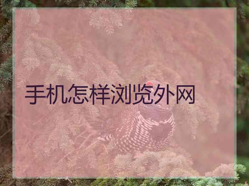 手机怎样浏览外网