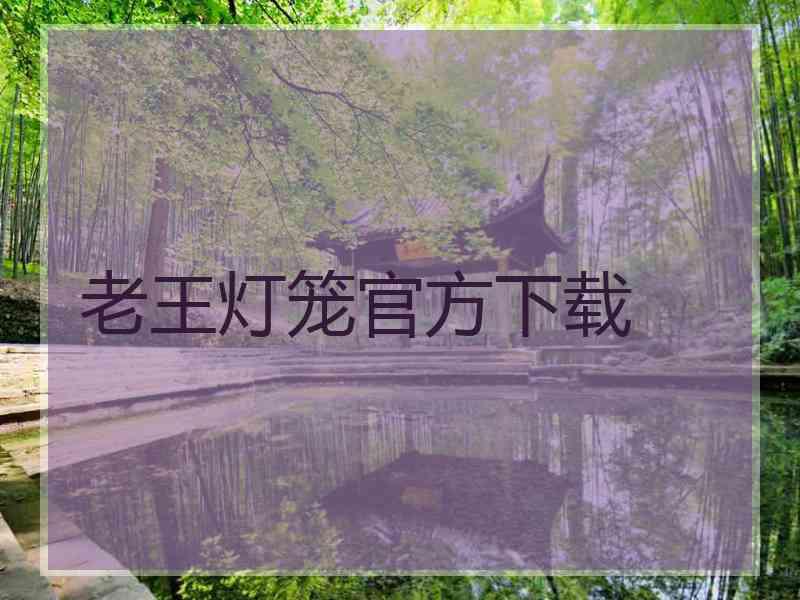 老王灯笼官方下载