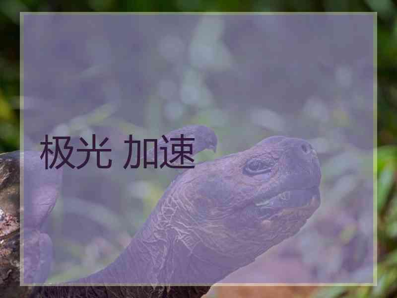 极光 加速