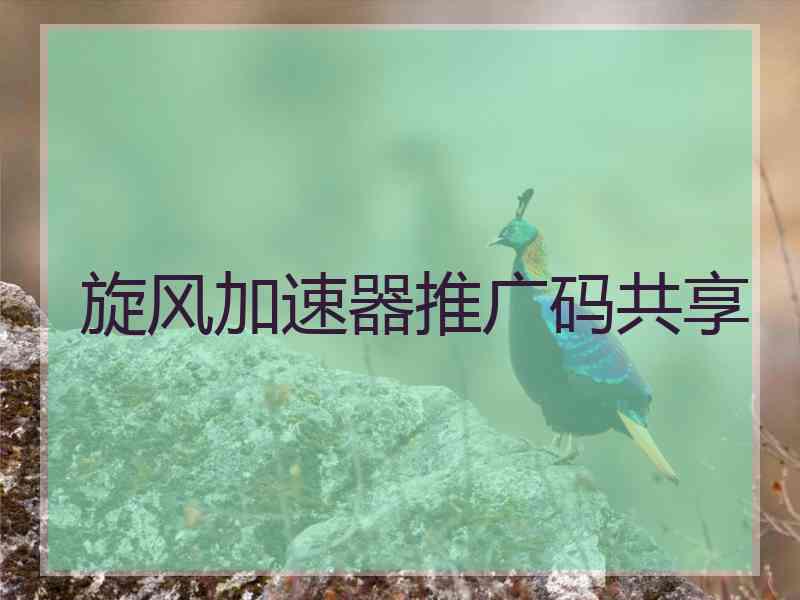 旋风加速器推广码共享