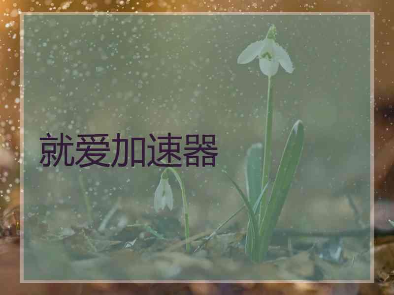 就爱加速器