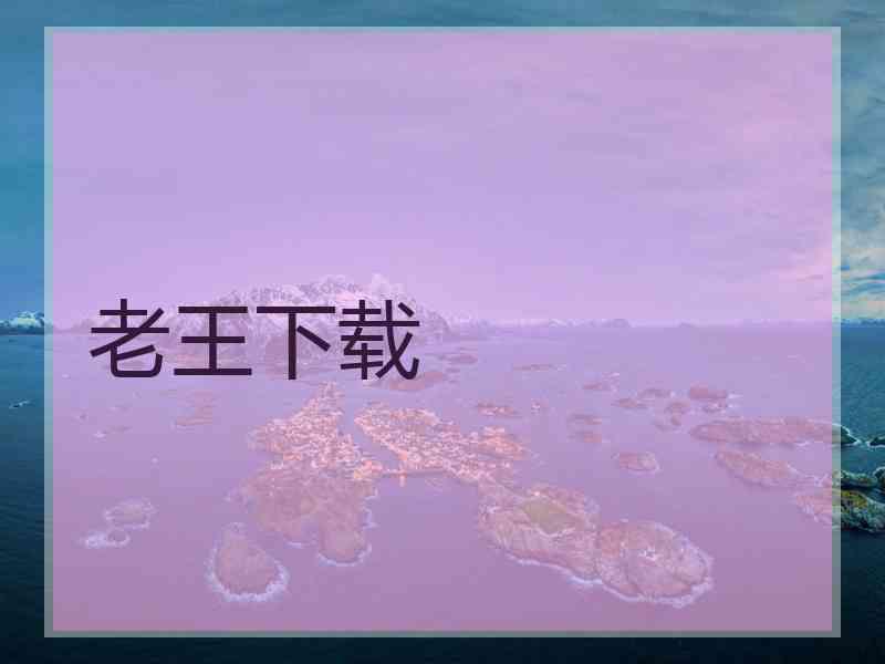 老王下载