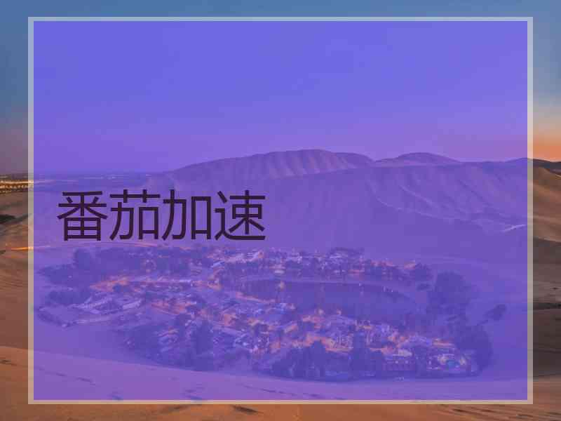 番茄加速