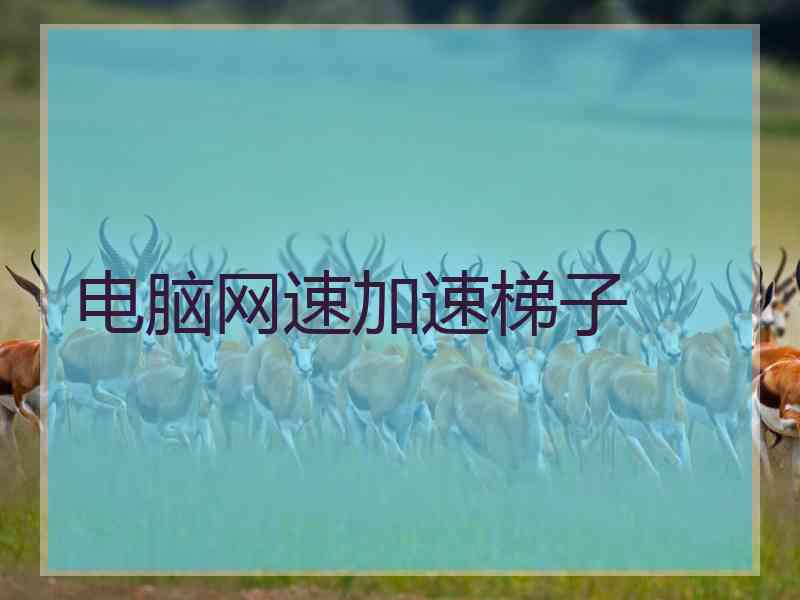 电脑网速加速梯子