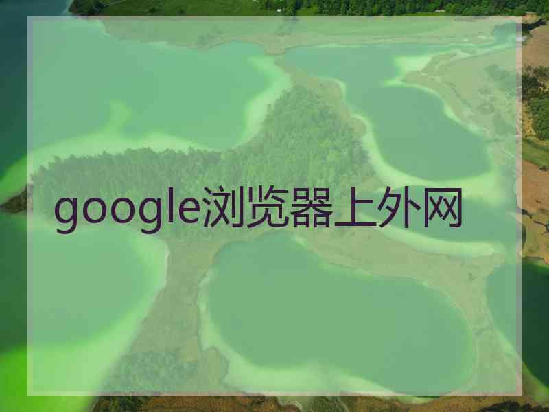 google浏览器上外网