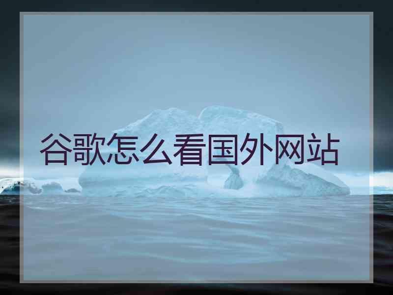 谷歌怎么看国外网站