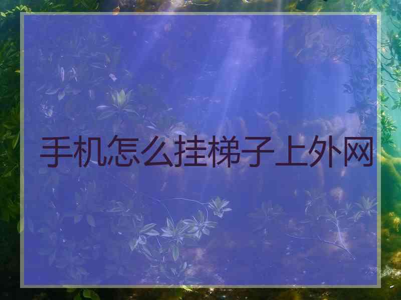 手机怎么挂梯子上外网