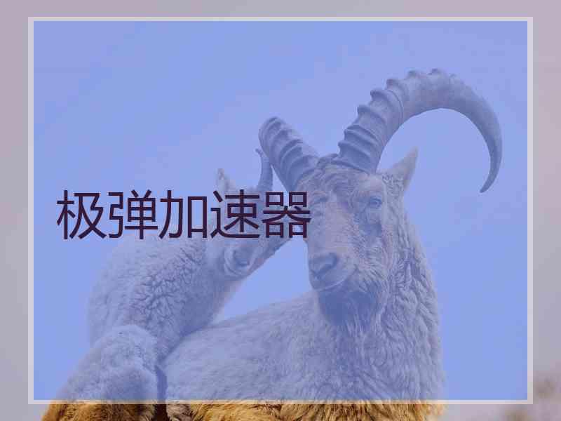 极弹加速器