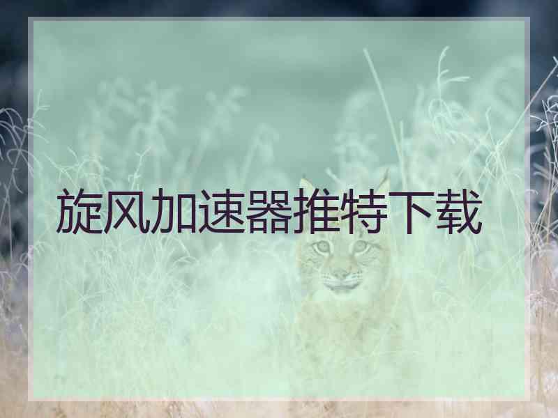 旋风加速器推特下载
