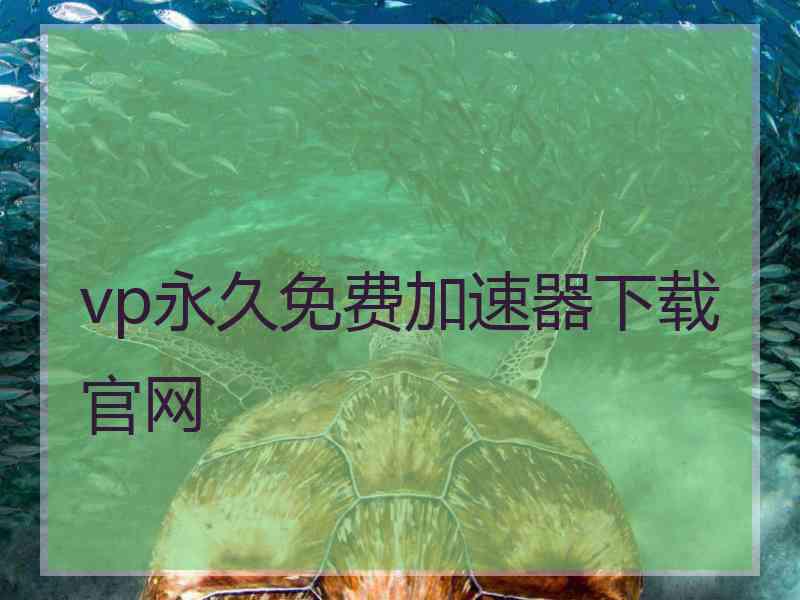 vp永久免费加速器下载官网