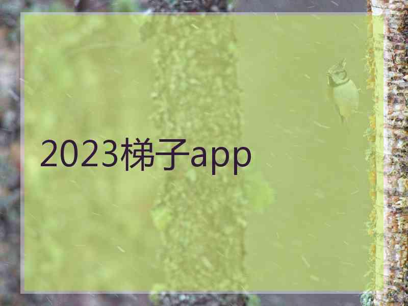 2023梯子app
