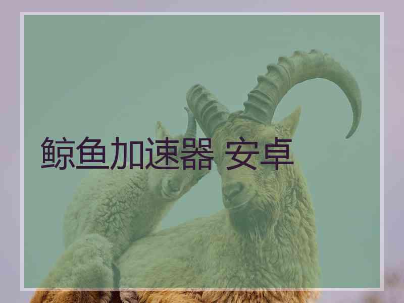 鲸鱼加速器 安卓